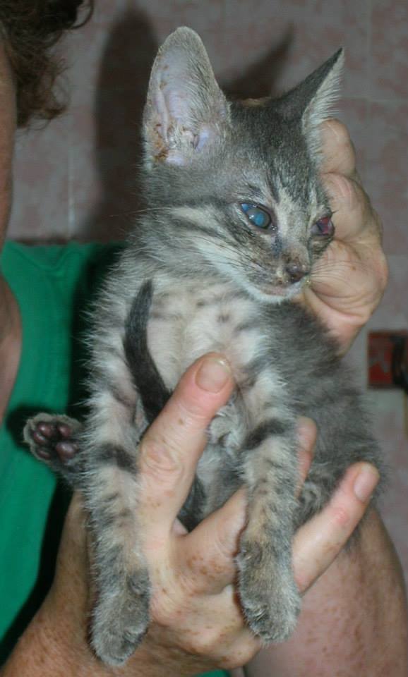 44489_10201361650313665_1264252078_n