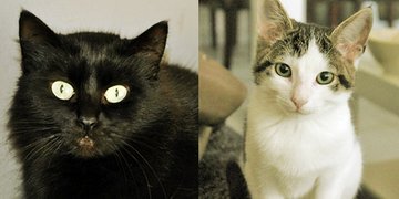 moriah_tuenn_0d44889e78