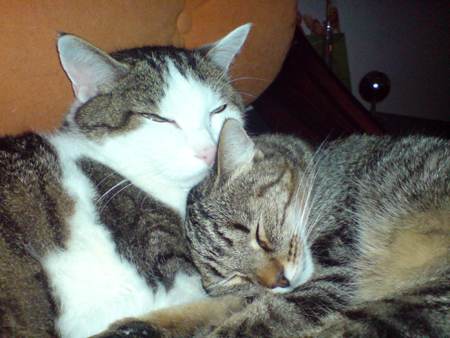 Lucie mit ihrer grossen Liebe Omar