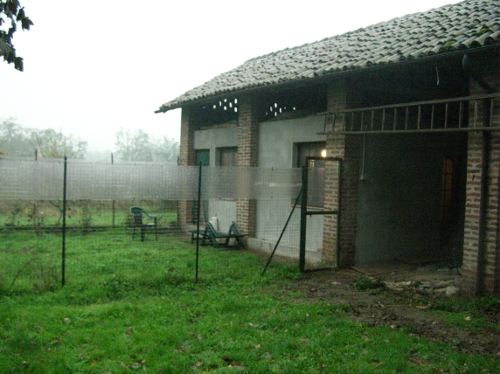 stefania-laborkatzen1