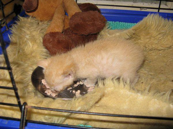 733763_10201528913175132_1647881829_n