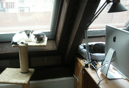 Als Therapiekatz bei Moriah <3