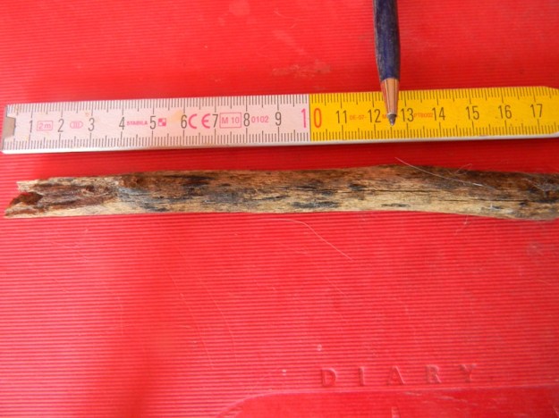 Pipi  Notfall - Unfall 005