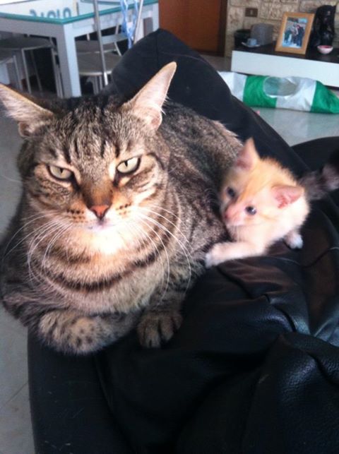 Bild: Sabrina Atzori