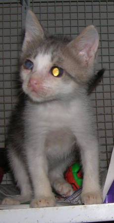 1003694_10201361757836353_952914351_n-1-1