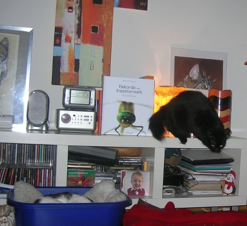 moriah-erkundungstour