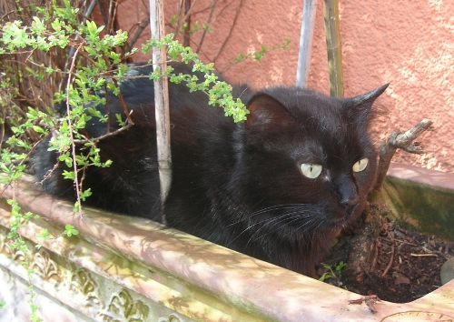 moriah-erkundungstour2