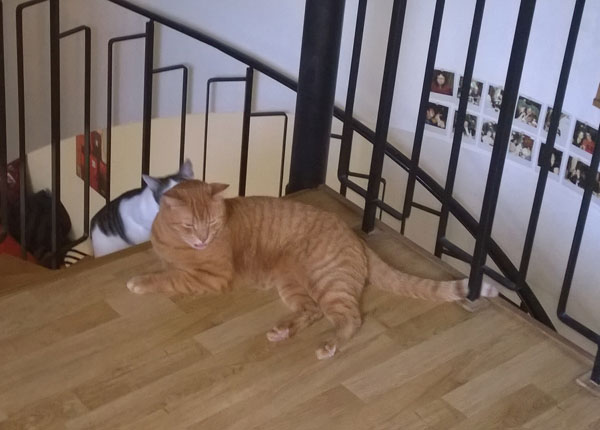 Tünn nimmt auch ne Nase voll - der Kleinste und der Grösste, aber halt Männergemeinschaft, ne? ;-) 