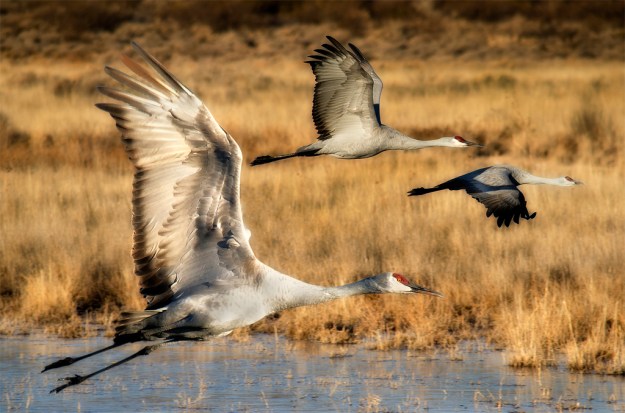 6363494235_9b19af4427_b